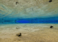   Go there dive this spot its worth trip  